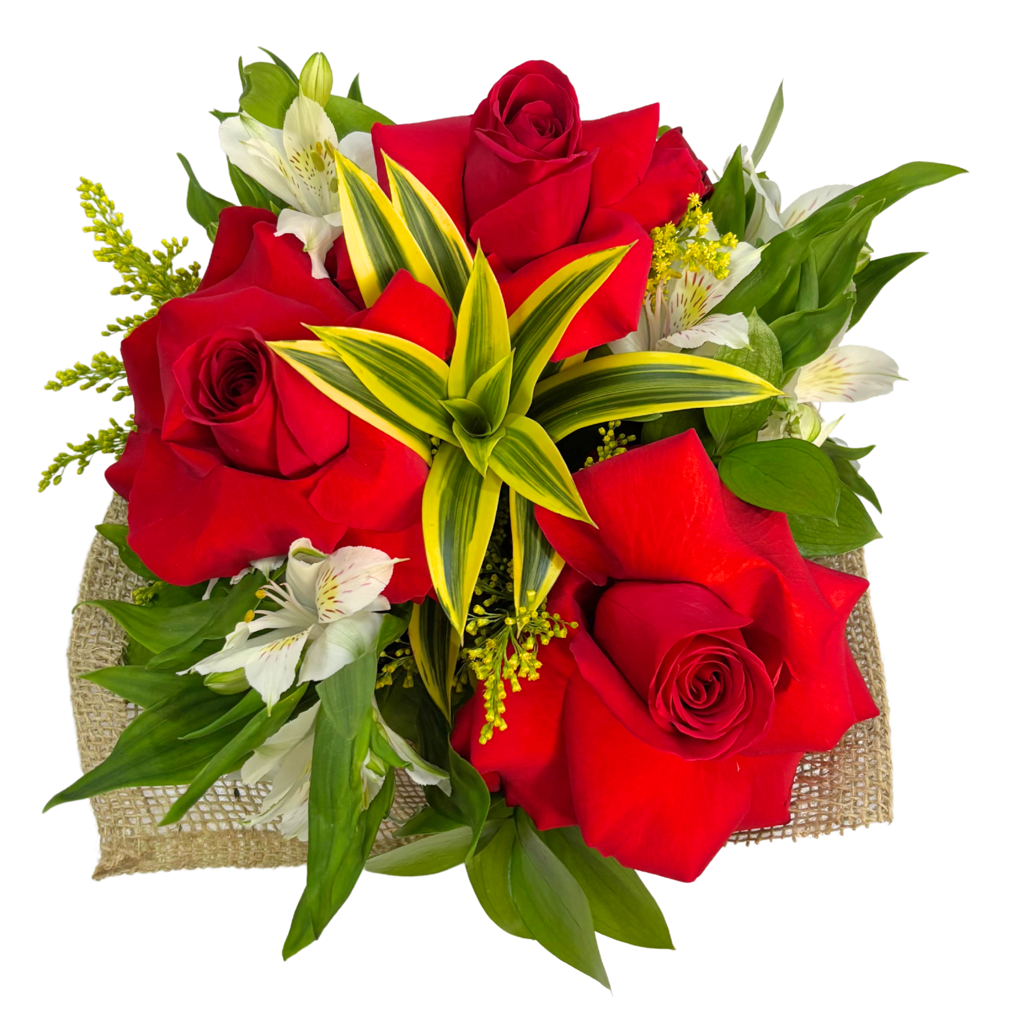 3 Rosas Colombianas e Astromlias