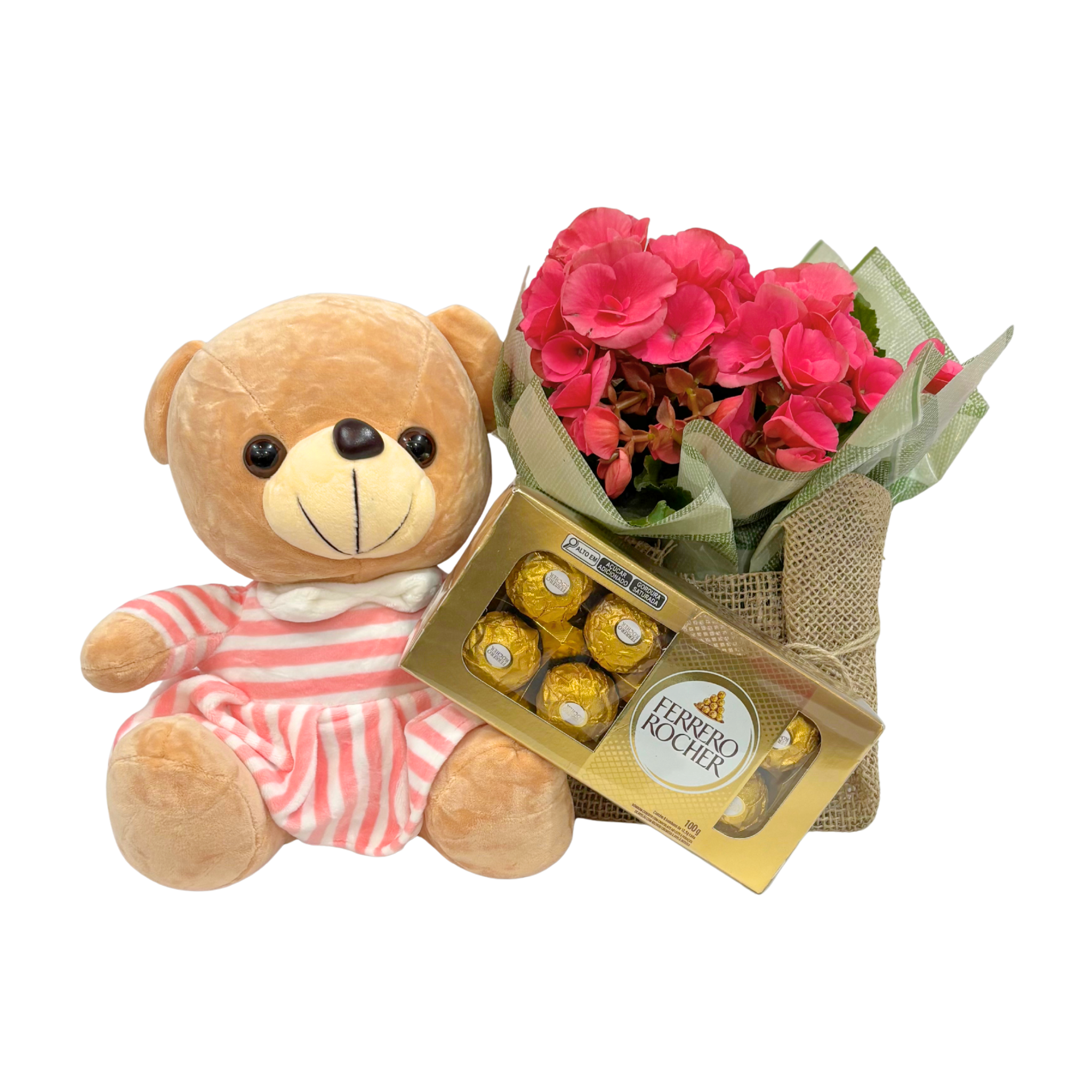 Kit MiniBegnia