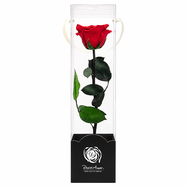 Rosa Preservada Vermelha