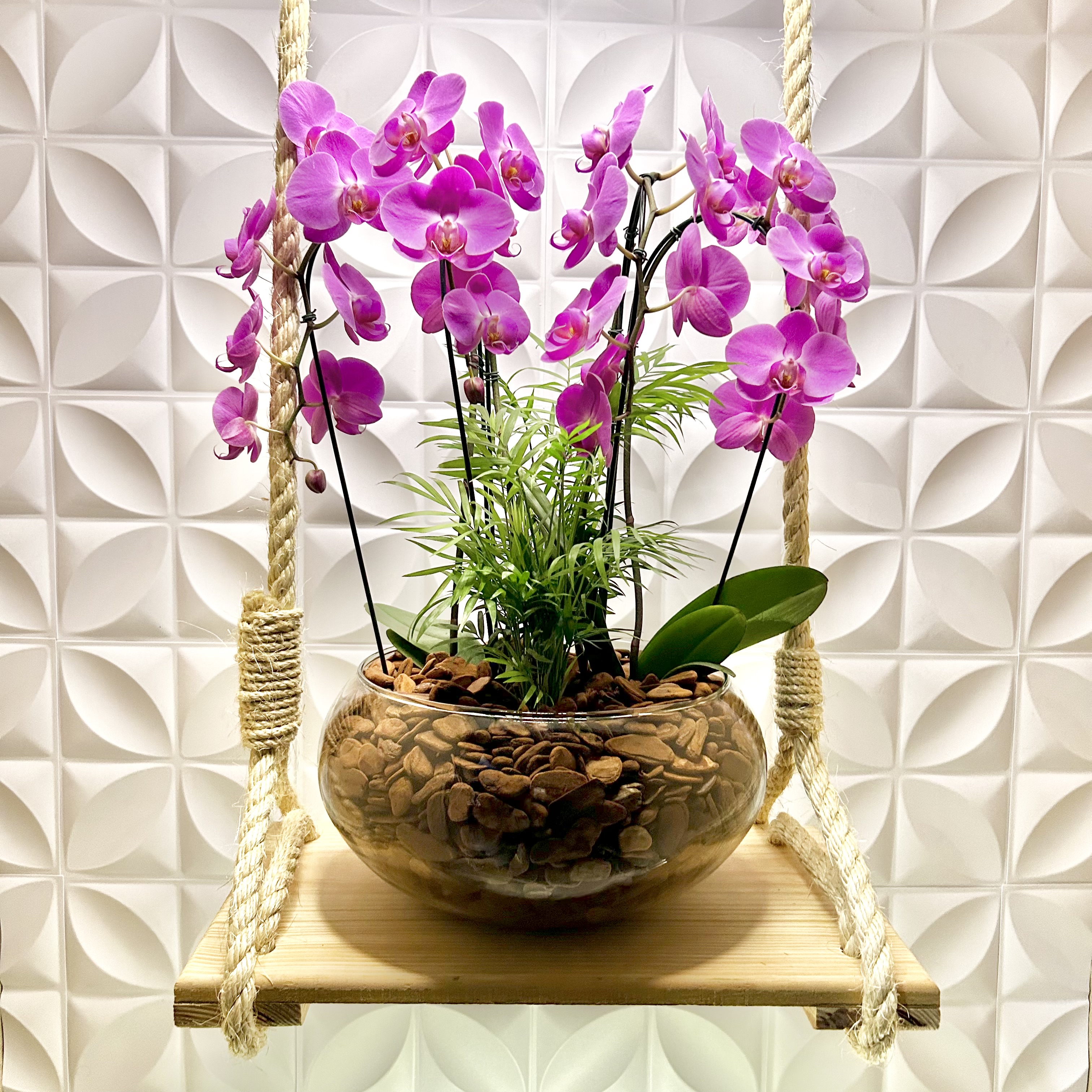 Especial de Orqudeas da Bia