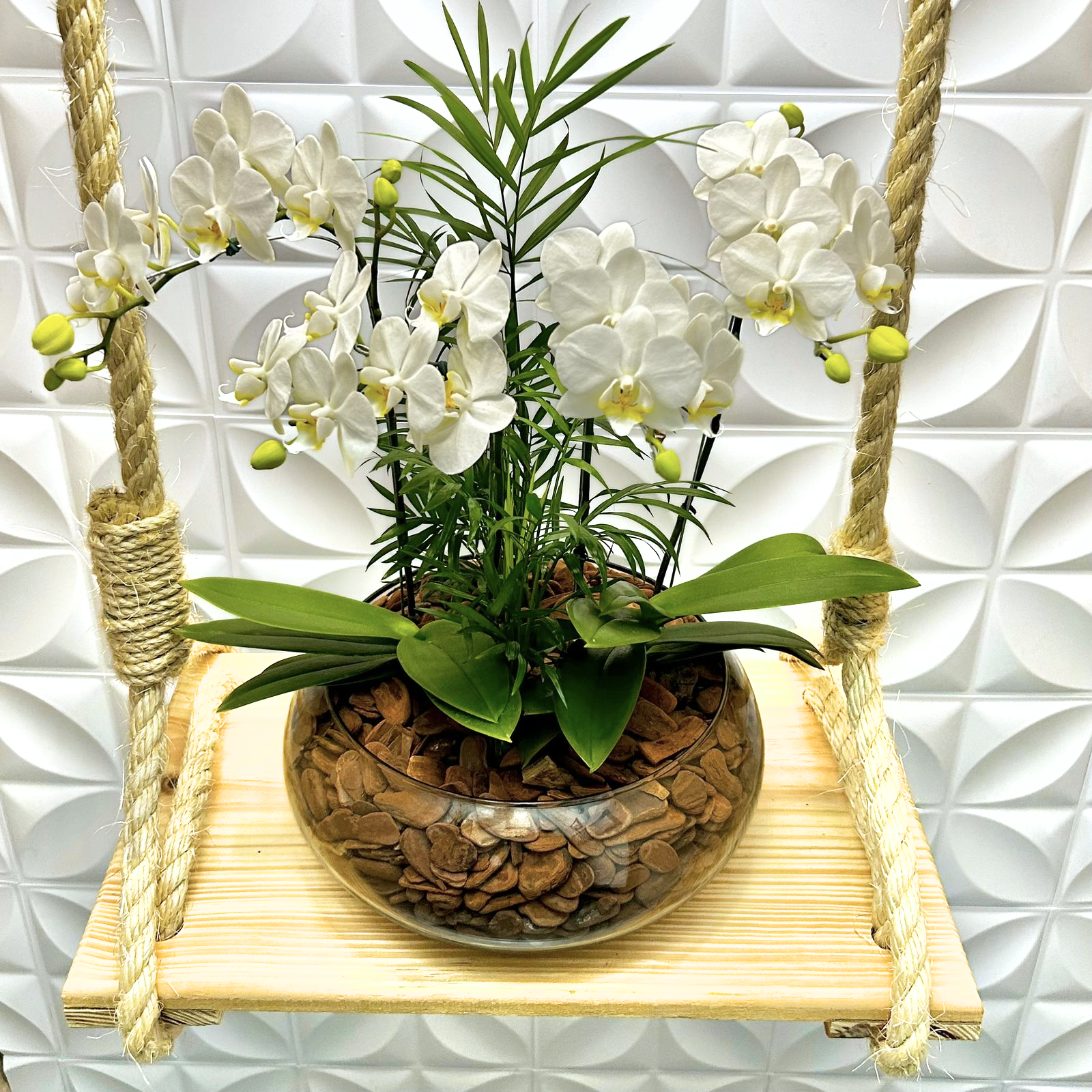 Especial de 4 Mini Orqudeas Brancas no Vidro