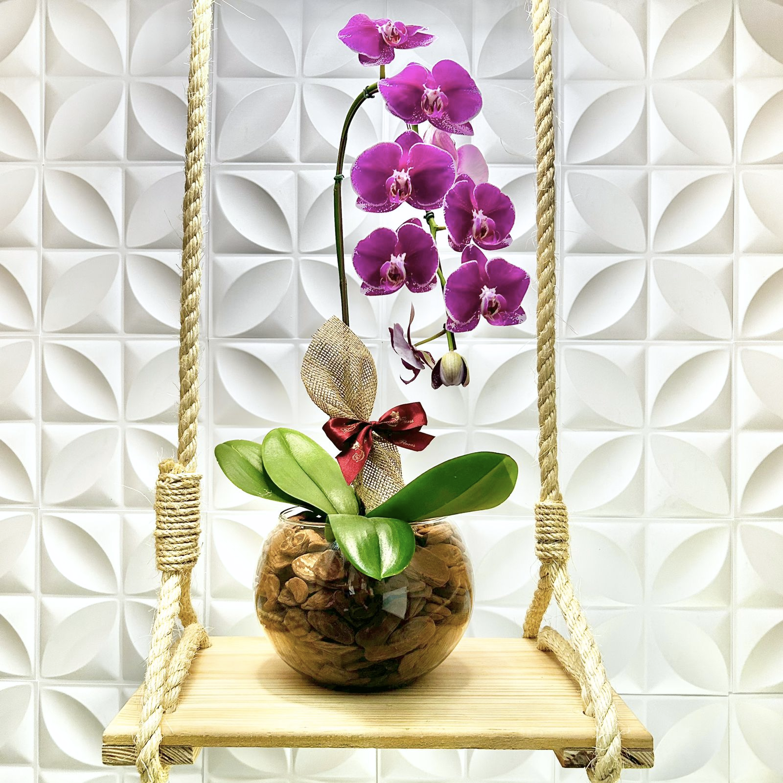 Orqudea Phalaenopsis Lils no Vidro