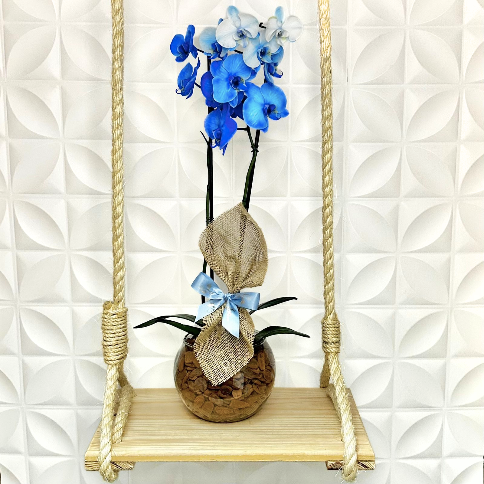 Orqudea Phalaenopsis Azul no Vidro