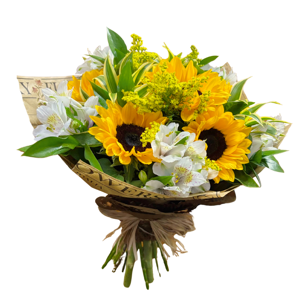 Buques de Girass�is